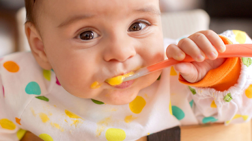 Tips On How To Start An Organic Baby Food Business - 